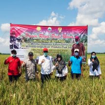 Ditengah Pandemi Covid-19, Lampung Selatan Sukses Panen Raya Program Serasi
