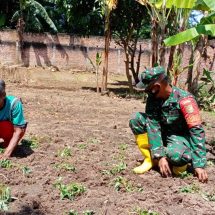 Manfaatkan Lahan Kosong Di Program Ketahanan Pangan, Kodim 0410/KBL Bercocok Tanam Ditengah Pandemi Covid-19