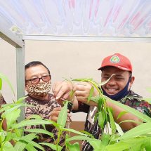 Kwarda Gerakan Pramuka Lampung Lakukan Panen Perdana Sayuran Sistem Hydroponik