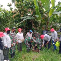 Gerakan Pelestarian Lingkungan, Kodim 0410/KBL Dan Dinas Kehutanan Lampung Lakukan Penanaman 100 Pohon Hutan Rakyat