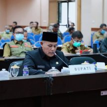 Bupati Lampung Selatan Nanang Ermanto Sampaikan Raperda Perubahan APBD TA 2020