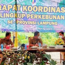 Pemerintah Provinsi Lampung Gelar Rapat Koordinasi Sektor Perkebunan Di Sabah Balau