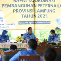 Gubernur Arinal Sinergikan Semua Pihak Untuk Bangkitkan Peternakan Provinsi Di Lampung