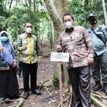 Gubernur Arinal Launching Pusat Inkubasi Tanaman Nusantara dil Tahura Wan Abdul Rachman