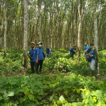 Bentuk Perhatian, PTPN VII Dorong Mahasiswa Pelajari Dunia Perkebunan