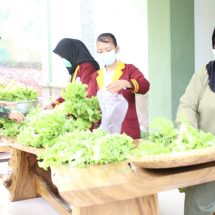 Bersama Mahasiswa Universitas Teknokrat, Personil Kodim 0410/KBL Panen Sayuran Hidroponik Di Makodim