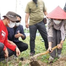 Ketua TP PKK Hj.Winarni Tanam Pohon Di Kebun Edukasi Kalianda