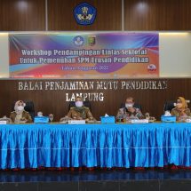 Workshop SPM Bidang Pendidikan 2022, Wagub Nunik Ajak Kabupaten/Kota Wujudkan Pendidikan Bermutu