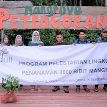 PLN Tanam 4000 Mangrove dan Bangun Fasilitas Ekowisata Mangrove