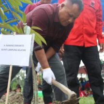 Bupati Lampung Selatan Nanang Ermanto Tanam Bibit Pohon Durian Di Kawasan Agrowisata Desa Bali Agung