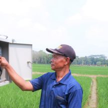 Modernisasi Pertanian Lewat Electrifying Agriculture PLN, Dorong Petani Di Lampung Raup Untung