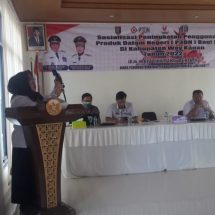 Pemprov Lampung Menggelar Sosialisasi P3DN Bagi Pelaku IKM Di Baradatu Waykanan