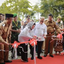 Wagub Chusnunia Chalim Dampingi Menteri PAN RB Resmikan Mall Pelayanan Publik di Lampung Tengah
