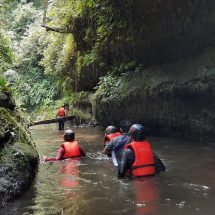 Festival Wisata Hutan 2023, Perbanyak Agenda Pariwisata di Lampung