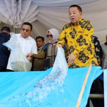 Hadiri Bakti Sosial Perantau Tiyuh Negara Batin Way Kanan, Gubernur Arinal Tinjau Pembangunan Infrastruktur Jalan dan Tebar 500 Ribu Benih Ikan di Sungai Way Kanan