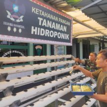 Dukung Ketahanan Pangan, Kodim 0410/KBL Kembangkan Tanaman Hidroponik