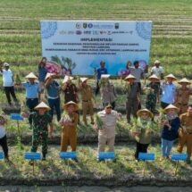 Bank Indonesia dan Pemprov Lampung Lakukan Panen Bawang Merah dan Berikan Bantuan Kelompok Tani di Lampung Selatan