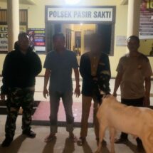 Polisi Berhasil Menangkap Pelaku Pencurian Kambing Di Lampung Timur