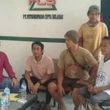 PT Pupuk Indonesia Bantah Dugaan Pungli di PT PCS