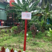 Inovasi Digitalisasi Kebun Tanaman Obat Keluarga oleh Kelompok KKN Desa Palas Aji