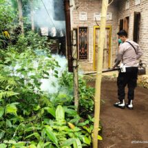 Kabid Humas: Langkah Preventif, Penyemprotan Fogging Antisipasi Demam Berdarah di Tanggamus
