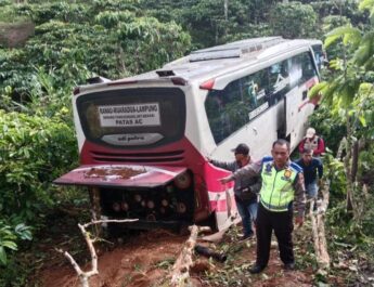 Kronologi Bus Masuk Jurang di Lampung Barat, Polisi Sebut Pandangan Sopir Terhalang Kabut