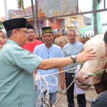 Idul Adha 2024, Polda Lampung Kurban 44 Sapi dan Kambing