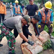 Sinergi Babinsa – Bhabinkamtibmas Bantu BPBD Bandar Lampung Evakuasi Pohon Tumbang