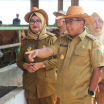 Komitmen Jaga Ketahanan Pangan di Provinsi Lampung, Pj. Gubernur Samsudin Dorong Peningkatan Pembibitan Ternak Sapi