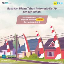 Catat Tips Listrik PLN Tetap Aman Saat Rayakan Kemeriahan HUT RI 79 Tahun 2024