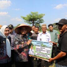 Berikan Bantuan Pupuk di Lampung Timur, Pj. Gubernur Samsudin Panen Tembakau