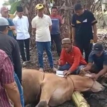 Anggota DPRD Lampung Ismet Roni Berkurban di Tulang Bawang