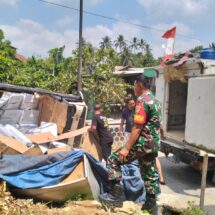 Mobil Pengangkut Ikan Beku Terguling di Sumberrejo, ini Penjelasan Babinsa Setempat