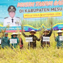 Pj. Gubernur Samsudin dan Ibu Maidawati Panen Raya Padi Musim Tanam Gadu di Mesuji