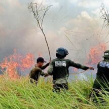 Polda Lampung Tegaskan Pelaku Pembakaran Hutan dan Lahan Diancam Penjara 15 Tahun