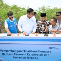 Kembangkan Bahan Co-Firing Biomassa, PLN Bersama Kementan Luncurkan Model Pertanian Terpadu