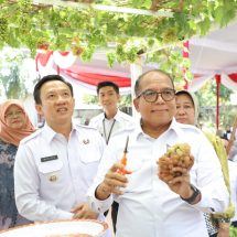 Pj.Gubernur Samsudin Didampingi Pj.Bupati Marindo Kurniawan Tinjau Kebun Anggur Sarasati di Pringsewu