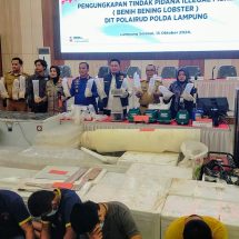 KKP Apresiasi Polda Lampung Ungkap Penyelundupan Baby Lobster