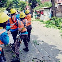 Peran BUMN di Peringatan Hari Sumpah Pemuda, PLN dan DLH Kolaborasi Amankan Pengendara dan Jaringan Listrik Dari Bahaya Pohon