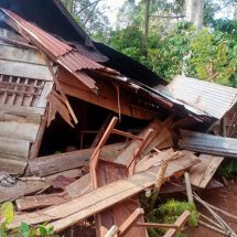 Kabid Humas: Kawanan Gajah Liar Rusak Rumah Warga di Lampung