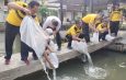 Polsek Teluk Betung Timur Tabur 10 Ribu Benih Ikan Air Tawar, Dukung Ketahanan Pangan