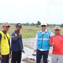 Refleksi Hari Pahlawan, Local Hero Inspiratif Suparmin Wujudkan Ketahanan Pangan di Lampung Selatan Melalui Bantuan PLN Peduli