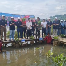 PTPN I Regional 7 Tanam 1.000 Mangrove di Teluk Pandan