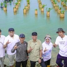 Gubernur Mirza Lakukan Penanaman Mangrove dan Pemasangan Appostrap di Pantai Pesisir Teluk Pandan, Pesawaran