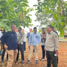 PTPN I Regional 7 Siap Laksanakan Program Hilirisasi Perkebunan