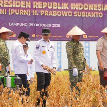 Panen Kedelai di Lampung Utara, Simbol Kolaborasi Pemerintah dan TNI Wujudkan Kedaulatan Pangan Nasional