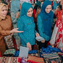 Perkuat Peran Perempuan Dalam Kesehatan dan Ekonomi Keluarga, Purnama Wulan Sari Mirza Ajak Warga Desa Sukajaya Lempasing Pesawaran Hidup Sehat dan Berdaya