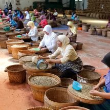 Perkuat Komoditas Kopi, PTPN I Konversi Dua Pabrik Teh