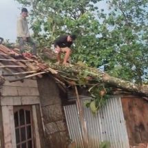 Gerak Cepat Pulihkan Listrik Untuk Rakyat Pasca Puting Beliung di Blambangan Pagar, PLN Tuai Apresiasi