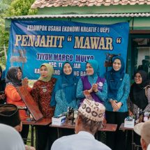 Semangat Kolaborasi, TP. PKK Provinsi Lampung Targetkan Desa TAPIS Sebagai Model Pemberdayaan dan Kesejahteraan Keluarga